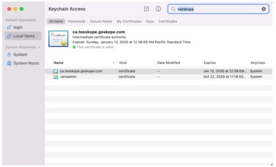 Deploy Client on macOS Using Intune - Netskope Knowledge Portal