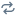 The Netskope Replace Icon.