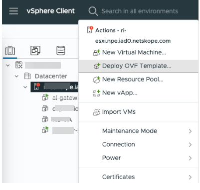 Deploying OVA on ESXi - Netskope Knowledge Portal